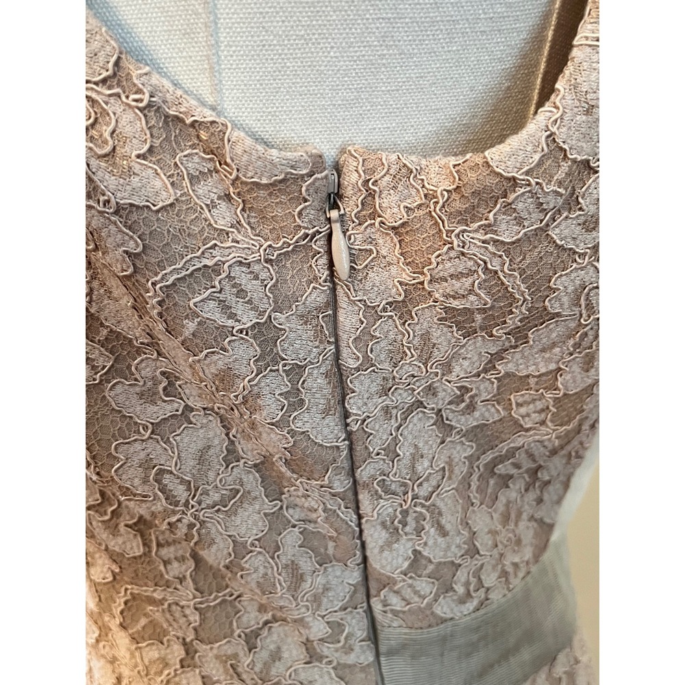 REISS Champagne Lace Sheath Dress Sleeveless Size‎ 8 - Picture 8 of 10